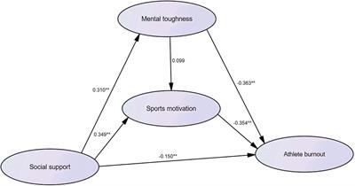 The Effect of Social Support on Athlete Burnout in Weightlifters: The Mediation Effect of Mental Toughness and Sports Motivation